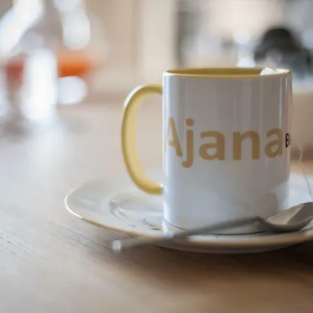 Ajana By Accomodo 2*